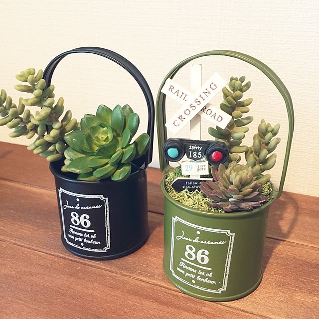 玄関/入り口/多肉植物/フェイクグリーン/缶のインテリア実例 - 2015-04-25 11:59:44