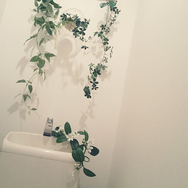 Nanaさんの実例写真