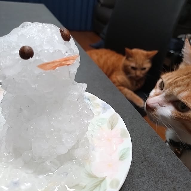 NOAHさんの部屋
