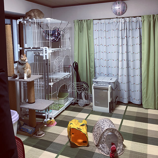 mitoraさんの実例写真