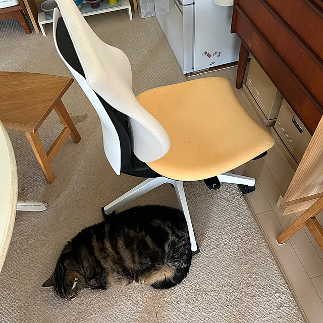 mikomaruさんの実例写真