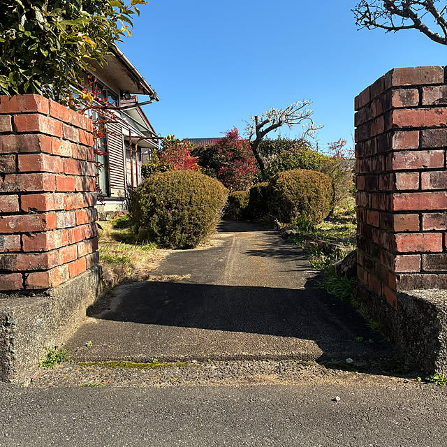 gecfrqxjjotjmdrtbgさんの実例写真