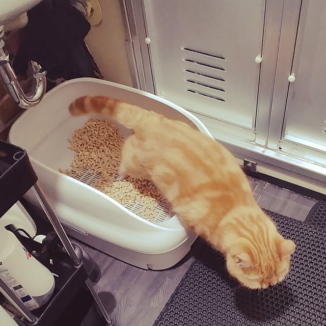 runaさんの実例写真