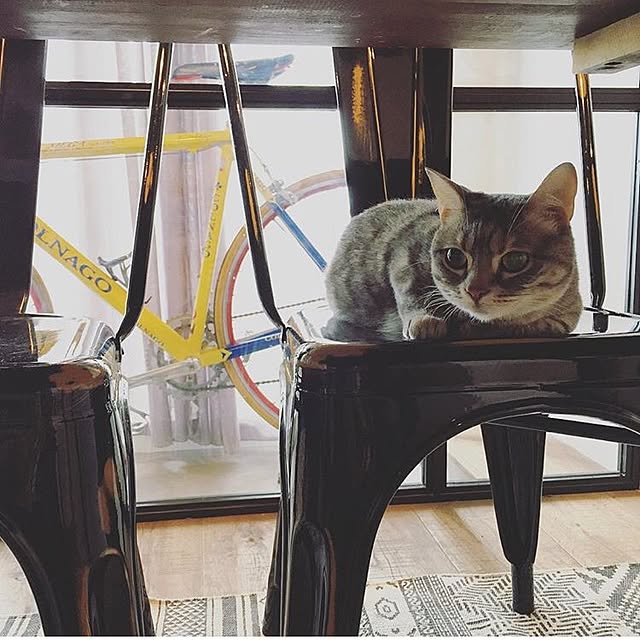 Asamiさんの実例写真