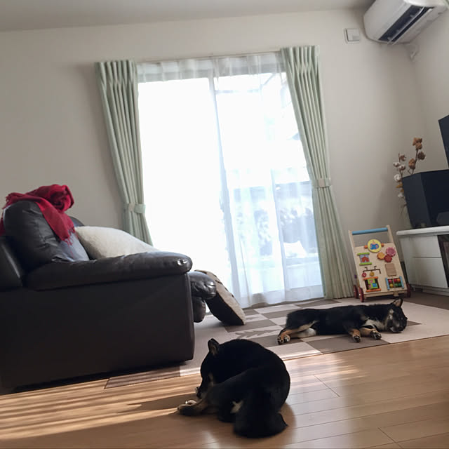 marocoroさんの実例写真