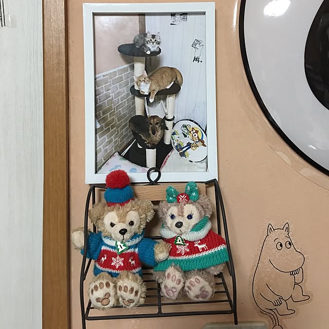 CATさんの実例写真