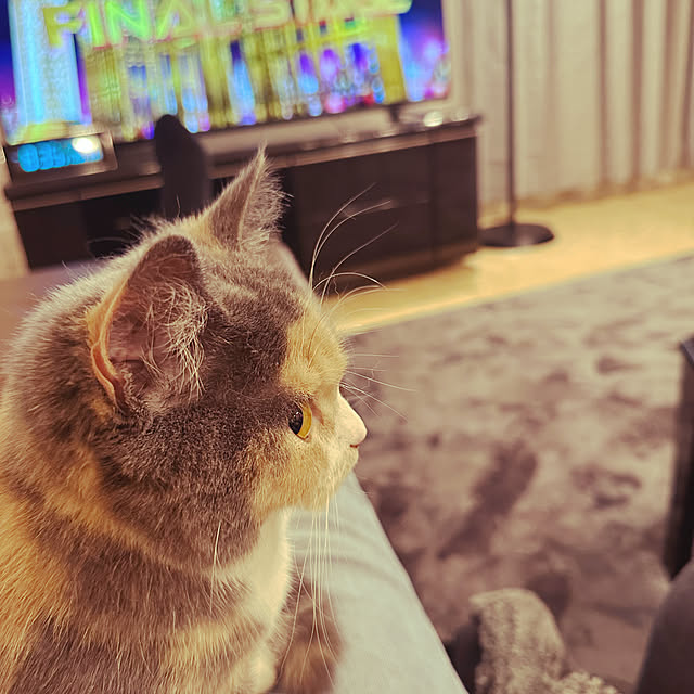 tomo1217さんの実例写真
