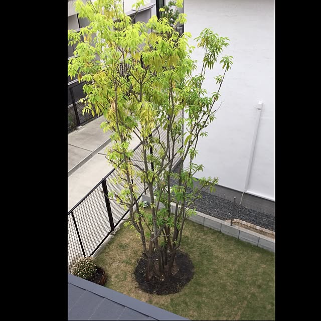 etsurio.ryuさんの実例写真