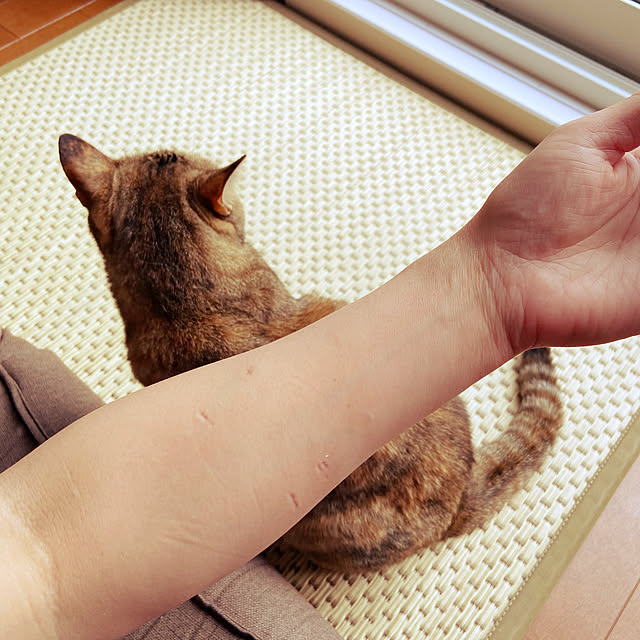 hansho.sさんの実例写真