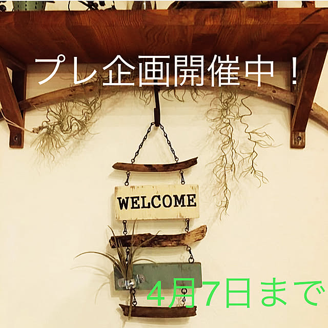 sansankikiさんの実例写真