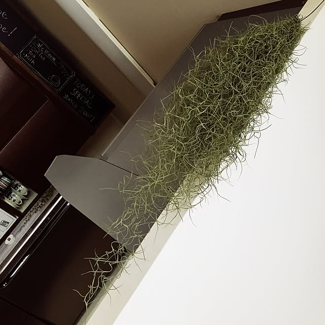 maomaoさんの実例写真