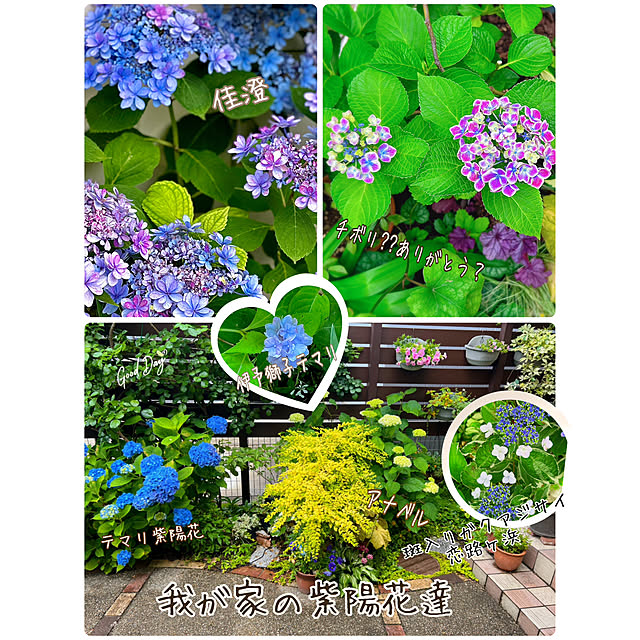 hinamamaさんの部屋
