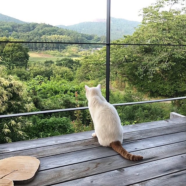 sakurasakuさんの実例写真