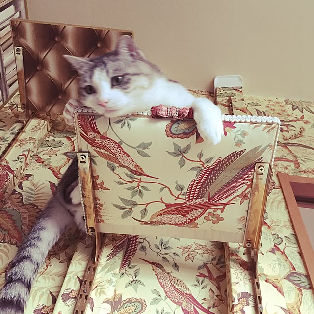 emmyyさんの実例写真