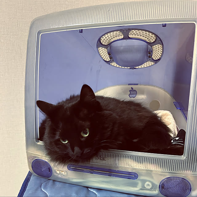 Chiekoさんの実例写真
