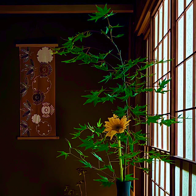 Fleur_さんの部屋