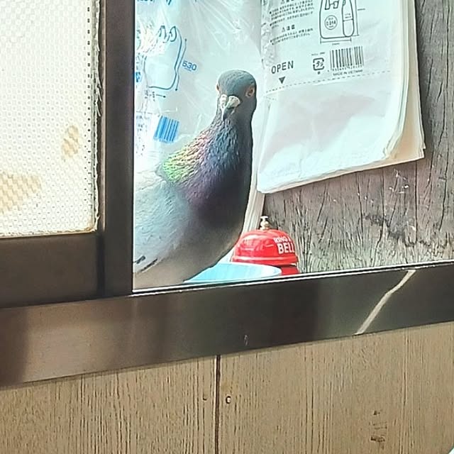 nanaさんの部屋