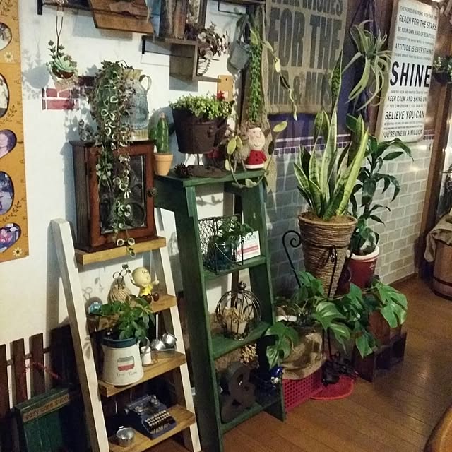 hiyochanさんの実例写真