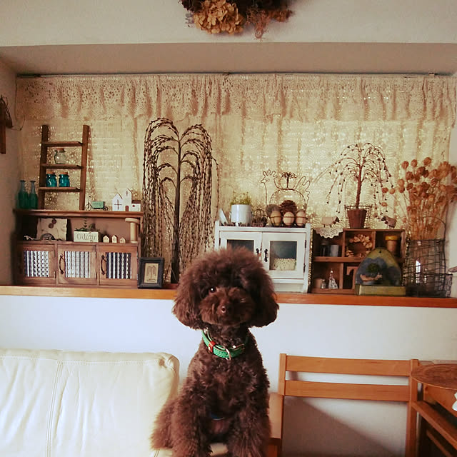 tomo1220さんの実例写真