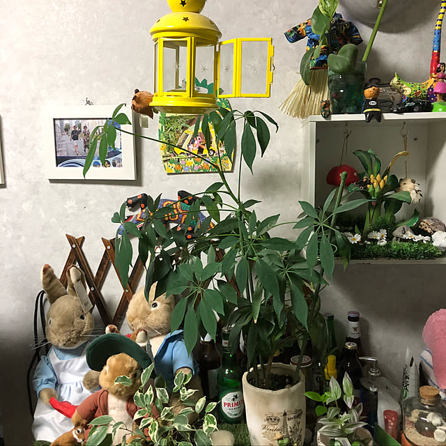 chikareebさんの実例写真