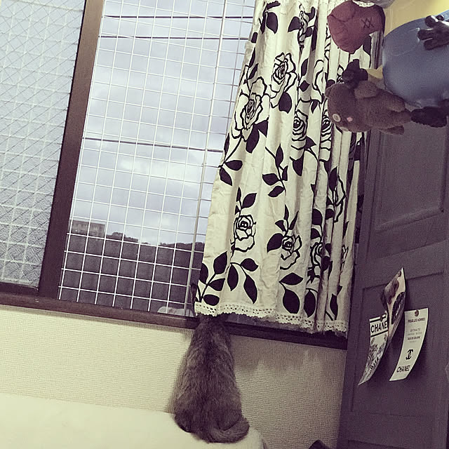 pumehanaさんの実例写真