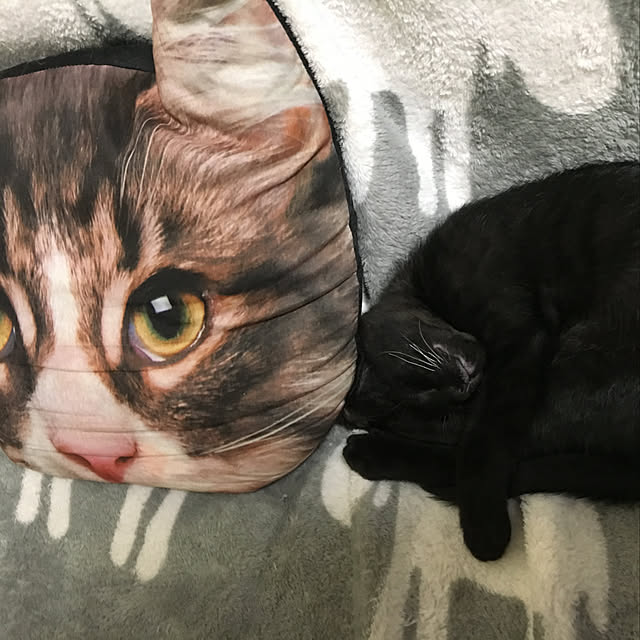 miyabiさんの実例写真