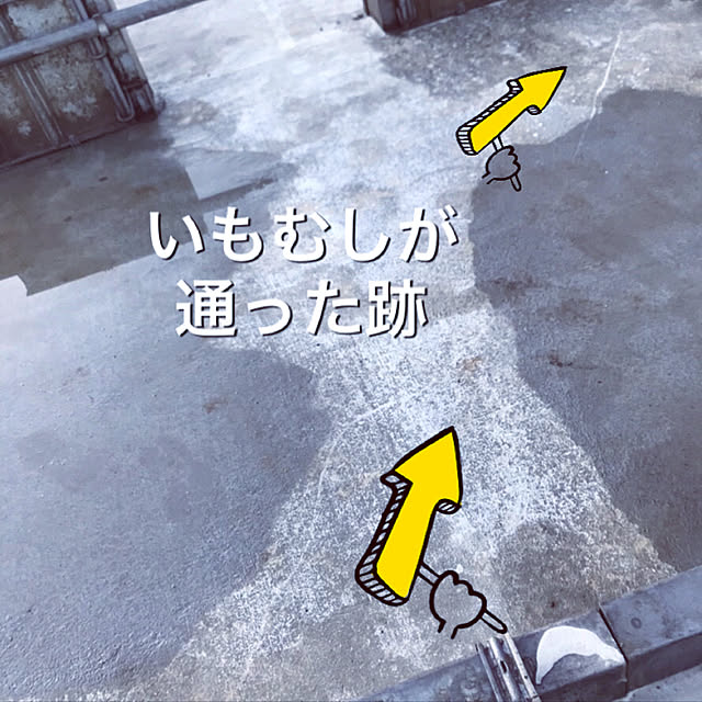 mashumaroさんの実例写真