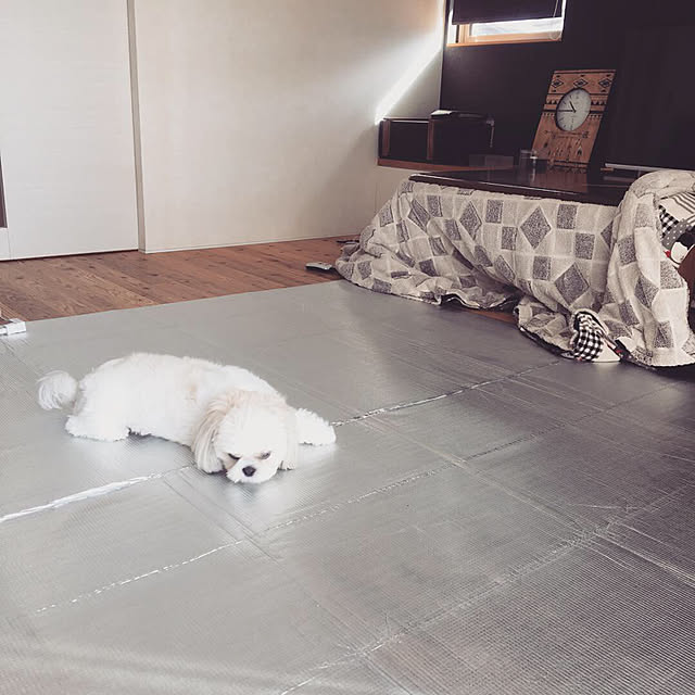 JASMINEさんの実例写真