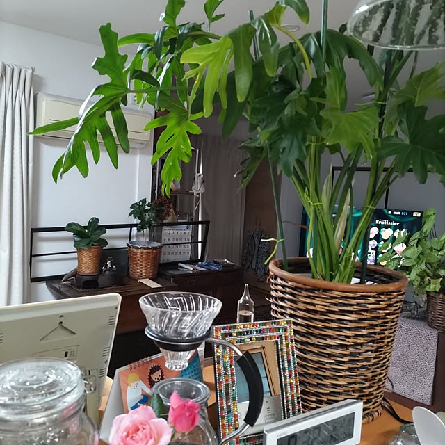 salacocoさんの部屋
