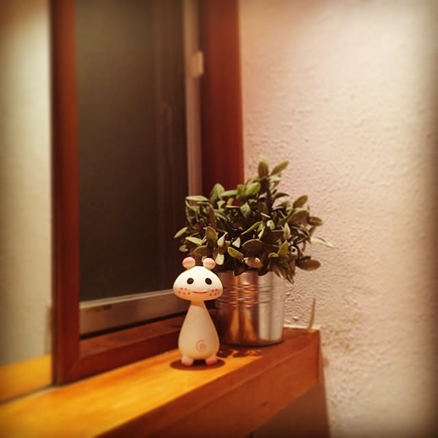 nuinuiさんの実例写真