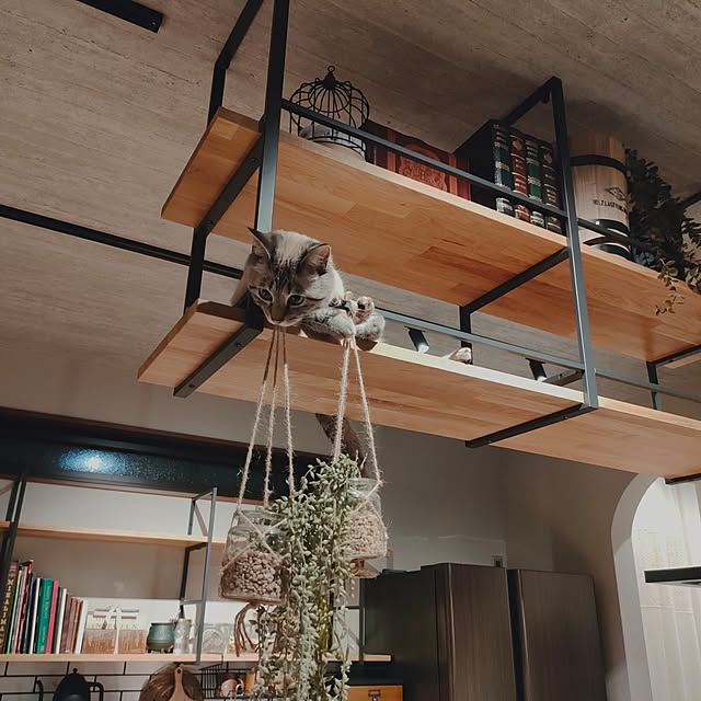 Atelier_tamakiさんの実例写真