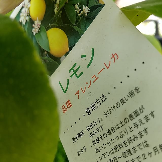Rさんの部屋