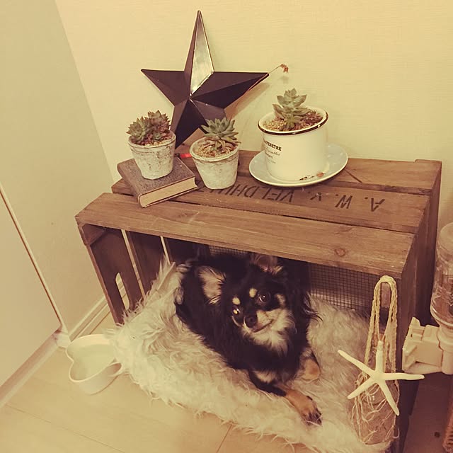 mioさんの実例写真