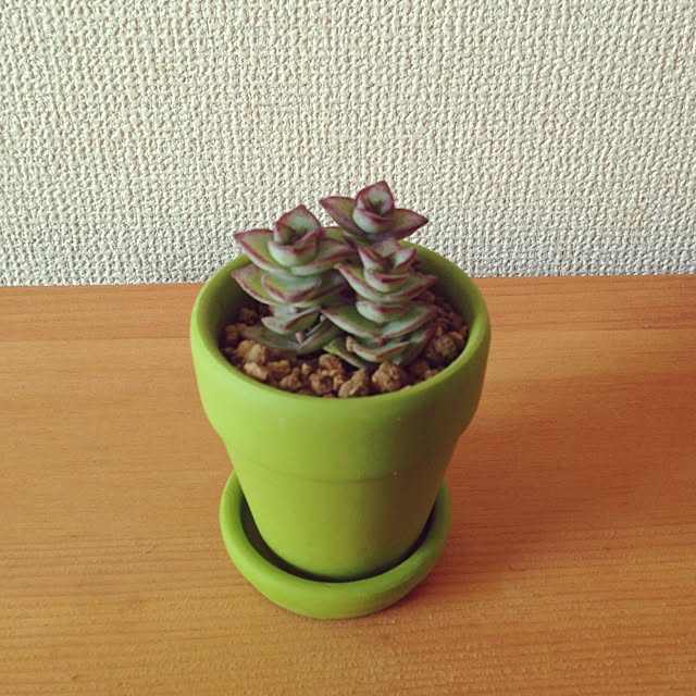 maaさんの実例写真