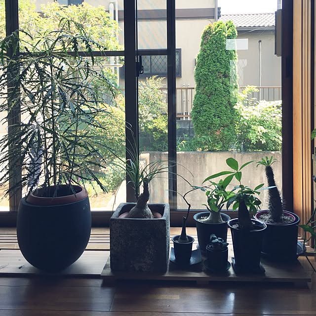 ccさんの実例写真