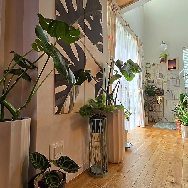 nonbiri_house_さんの部屋