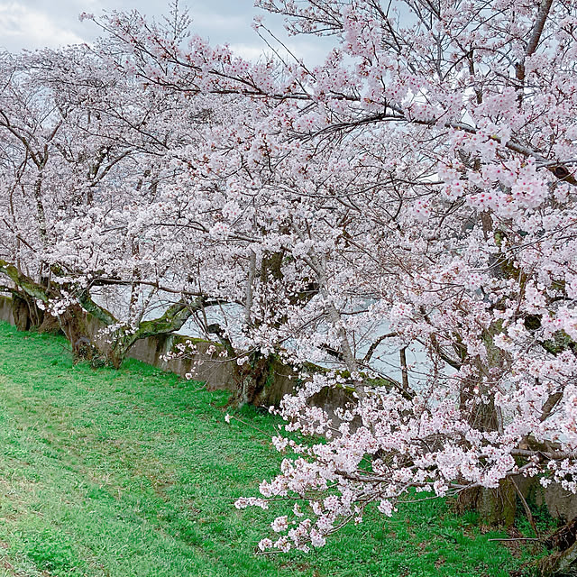 Hanakaさんの部屋