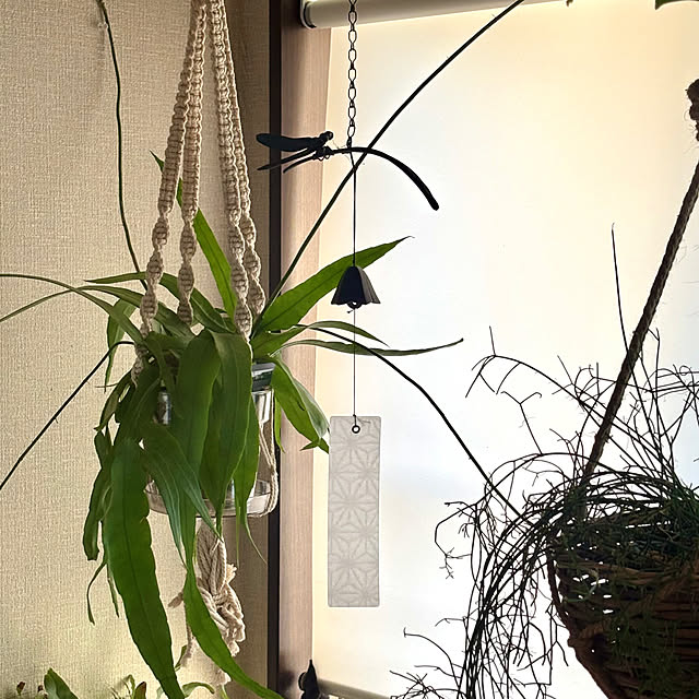 greycatsさんの実例写真