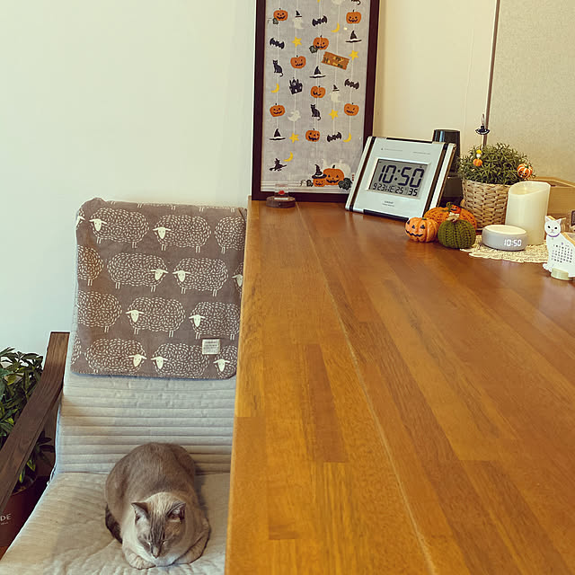 zumayanさんの実例写真