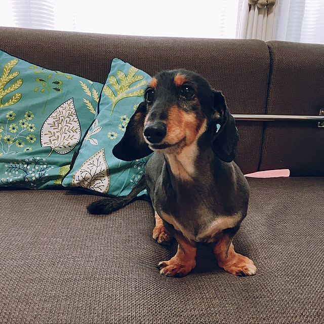 Tupemamaさんの実例写真