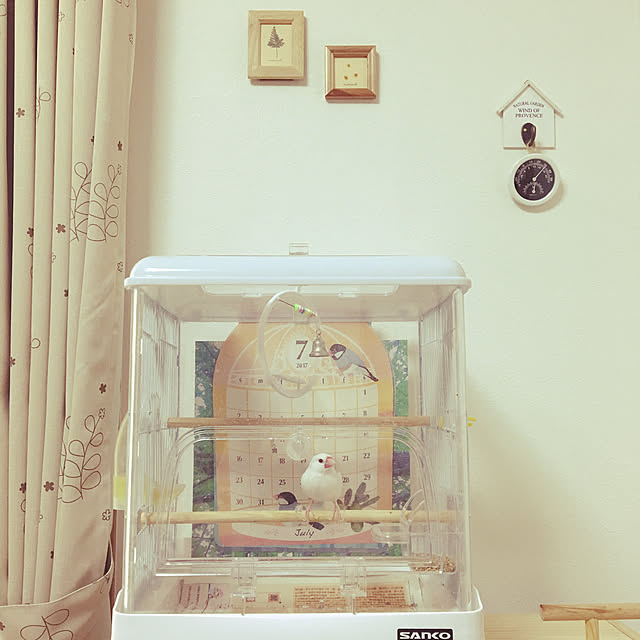 yukimidaifukuさんの実例写真