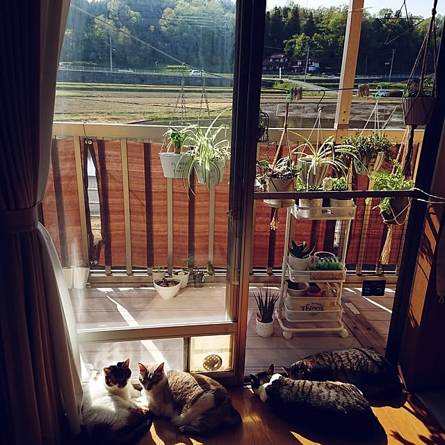 nachiさんの部屋