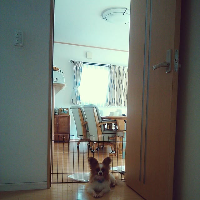 o_dinさんの実例写真