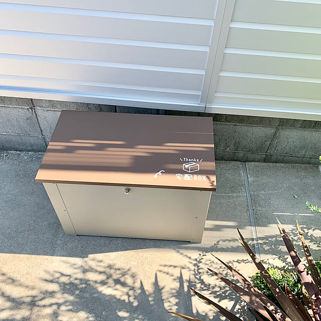 Minteaさんの部屋