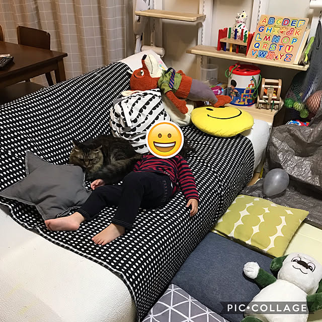 yuki0511さんの実例写真