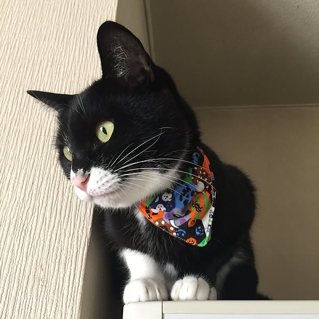 mtkさんの実例写真