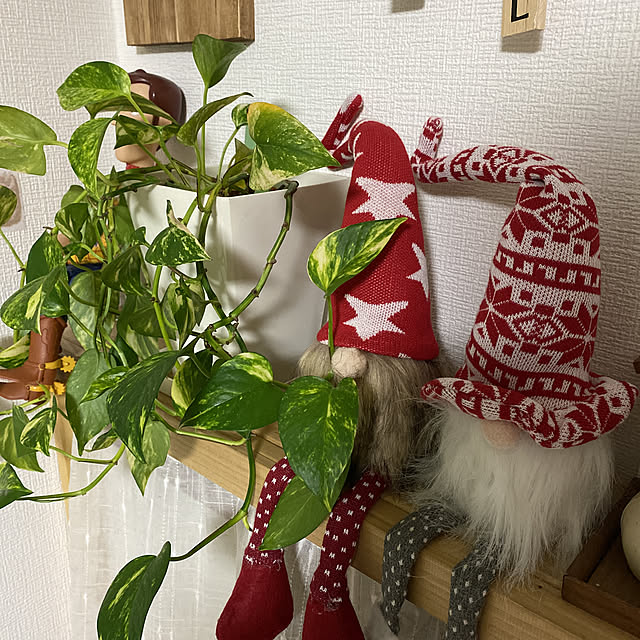 R.S.Kさんの実例写真