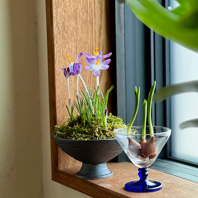 Kikko.さんの部屋