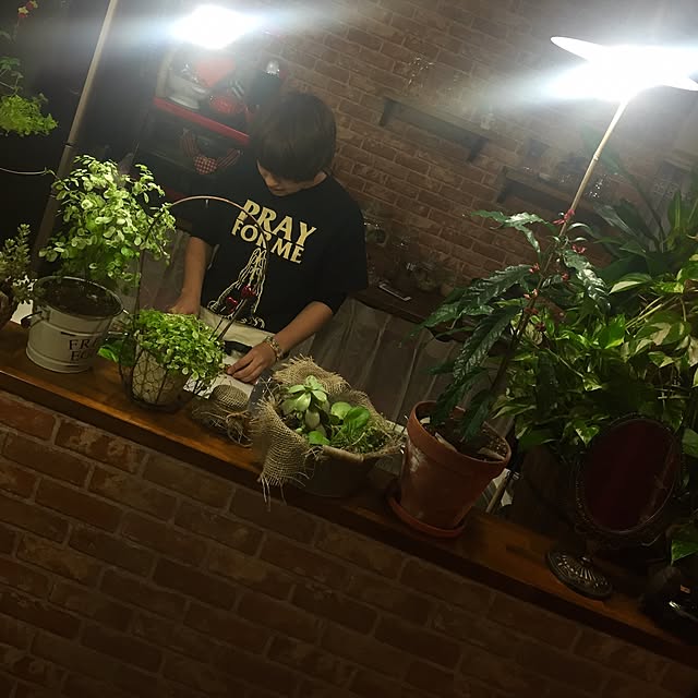 butachanさんの実例写真