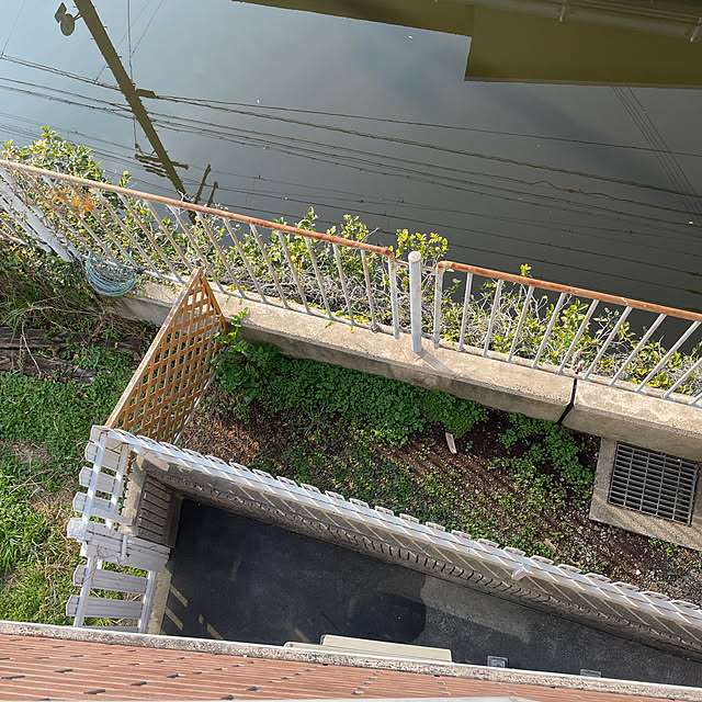 nekohagu2022さんの部屋